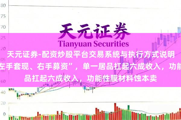 天元证券-配资炒股平台交易系统与执行方式说明 鼎泰高科演出“左手套现、右手募资”，单一居品扛起六成收入，功能性膜材料蚀本卖