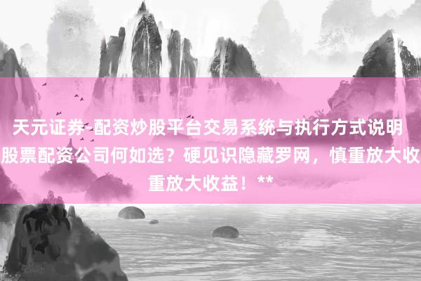 天元证券-配资炒股平台交易系统与执行方式说明 **塔城股票配资公司何如选？硬见识隐藏罗网，慎重放大收益！**